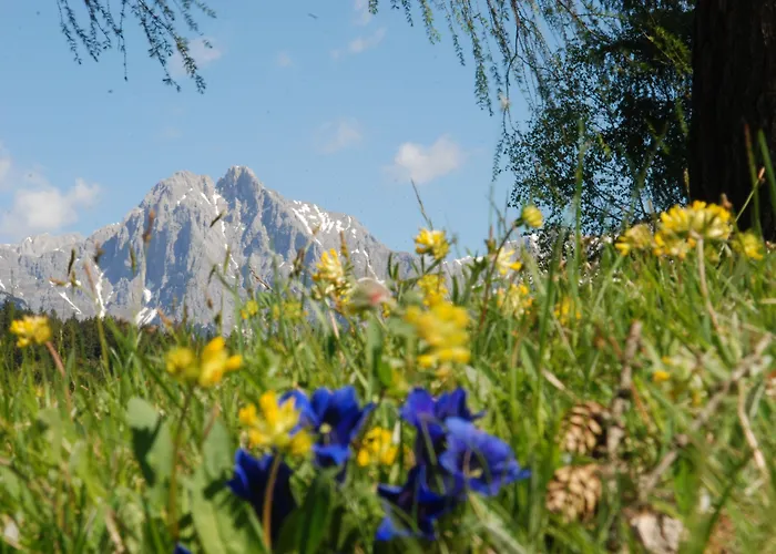 ホテル ランドハウス クラウズナホフ ガルニ 3*