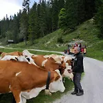 Klausnerhof Garni